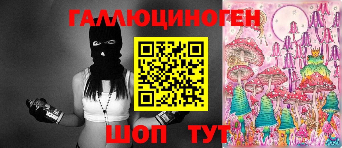 Псилоцибиновые грибы Cubensis Ивантеевка
