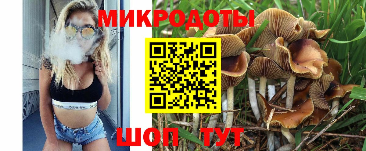 Галлюциногенные грибы Psilocybine cubensis  где купить наркоту  Вход с VPN  Ивантеевка  Псилоцибиновые грибы Magic Shrooms 